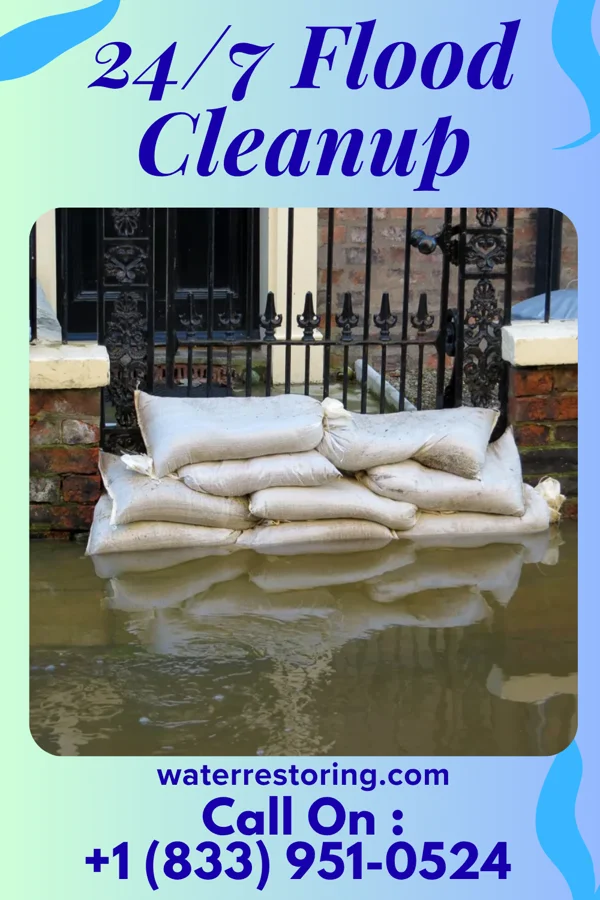 24/7 Flood Cleanup in Forest City, IL