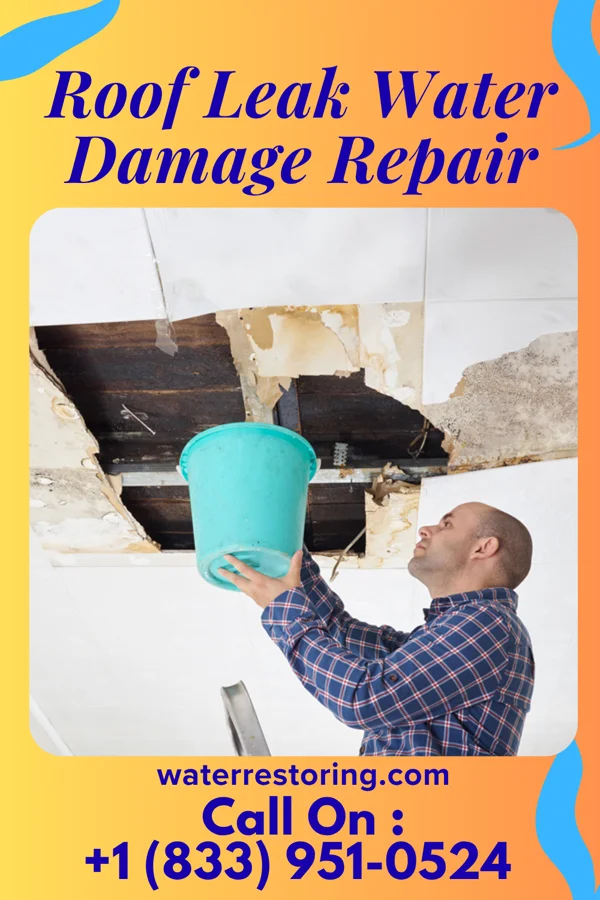 Roof Leak Water Damage Repair in Forest City, IL